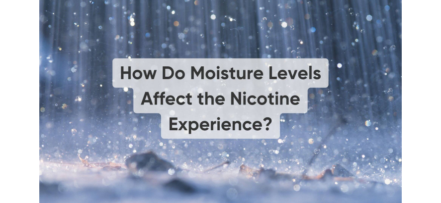 How Do Moisture Levels Affect the Nicotine Pouch Experience?