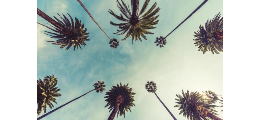 How to Buy Nicotine Pouches In California 