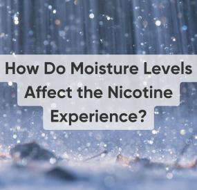 How Do Moisture Levels Affect the Nicotine Pouch Experience?