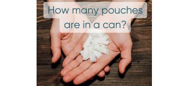 How many nicotine pouches are in one can?