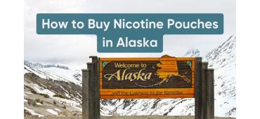 How to Buy Nicotine Pouches in Alaska: Complete Guide