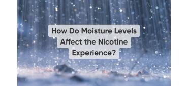 How Do Moisture Levels Affect the Nicotine Pouch Experience?
