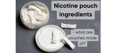 Nicotine pouch ingredients - what are pouches made of?
