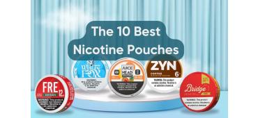 The 10 best nicotine pouches