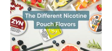 The Different Nicotine Pouch Flavors 