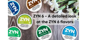ZYN 6 - A detailed look at the ZYN 6 flavors