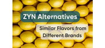 ZYN Alternatives — Similar Flavors from Different Brands
