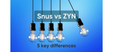 Snus Vs. ZYN: Unveiling the 5 key differences