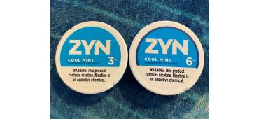 ZYN Cool Mint - Expert Review
