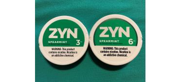 ZYN Spearmint - Expert Review