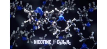 Where Does Nicotine Come From?