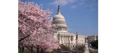 How to buy nicotine pouches in Washington