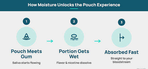 How moisture unlocks nicotine
