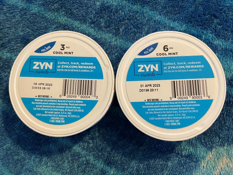 Buy ZYN Mini Dry Cool Mint 6 mg