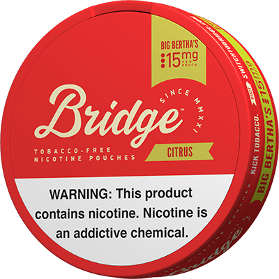 ON! Nicotine Pouches Review - Vaping360